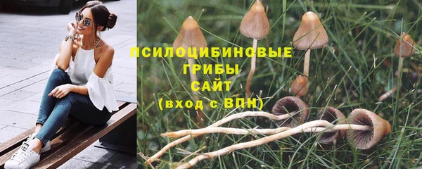 ГАЛЛЮЦИНОГЕННЫЕ ГРИБЫ Баксан