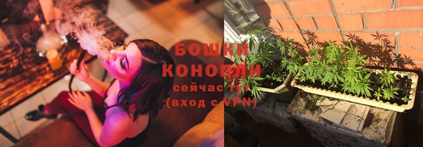 ГАЛЛЮЦИНОГЕННЫЕ ГРИБЫ Баксан
